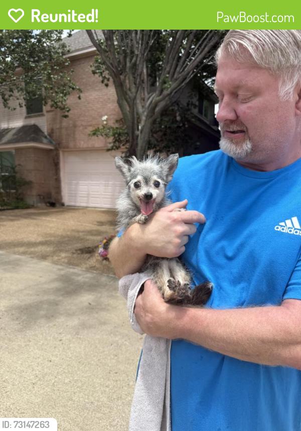 Reunited Unknown Dog last seen Park springs and pleasent ridge, Arlington, TX 76016