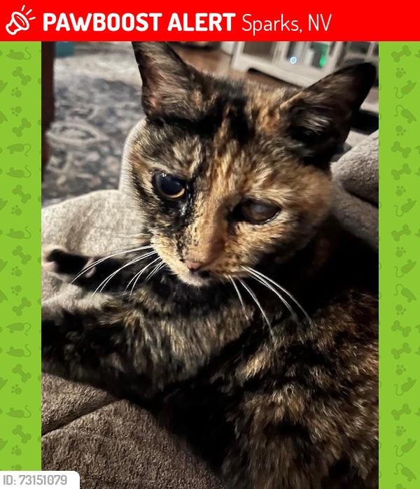 Lost Female Cat last seen Emblem St, Sparks, NV 89436