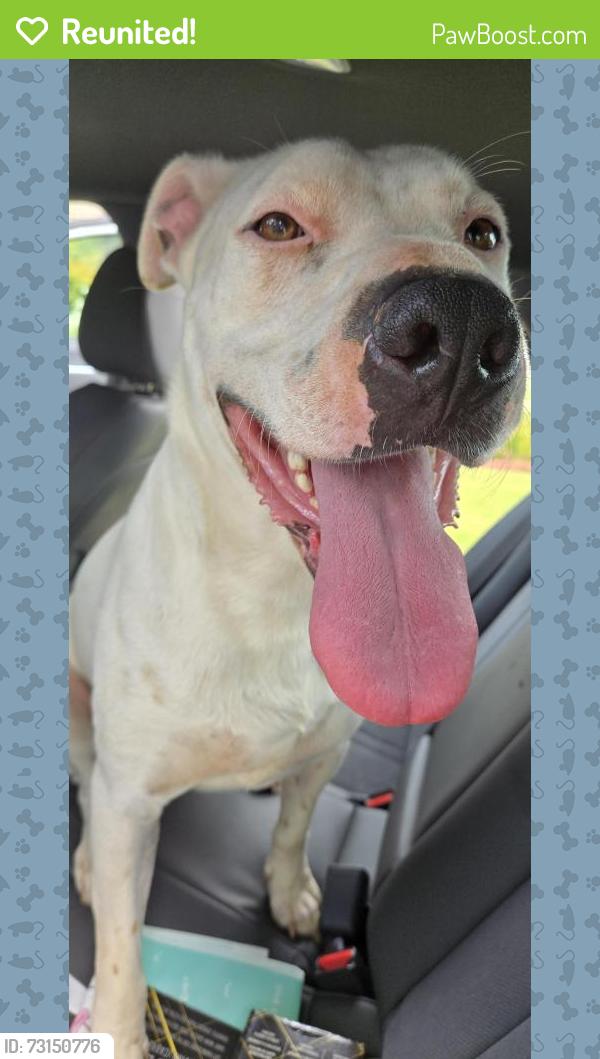 Reunited Unknown Dog last seen Near Old Peachtree Rd NW, Suwanee, GA 30024, Suwanee, GA 30024