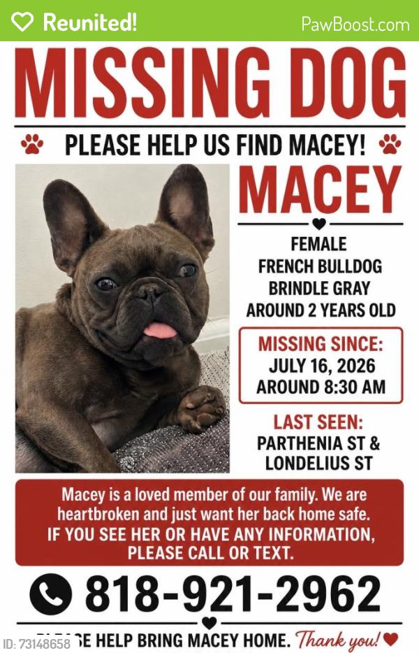 Reunited Female Dog last seen Parthenia st, Los Angeles, CA 91304