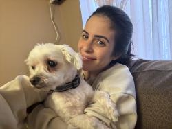 Reunited Male Dog last seen Glacier bay street, Indio, CA 92203