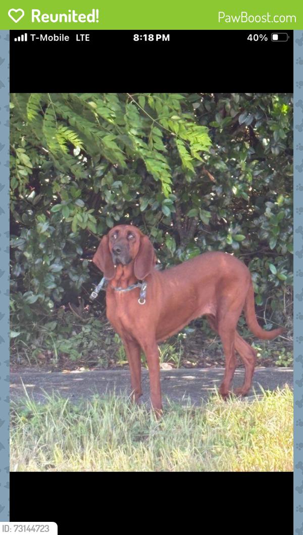 Reunited Unknown Dog last seen Queens St, Titusville, FL 32780