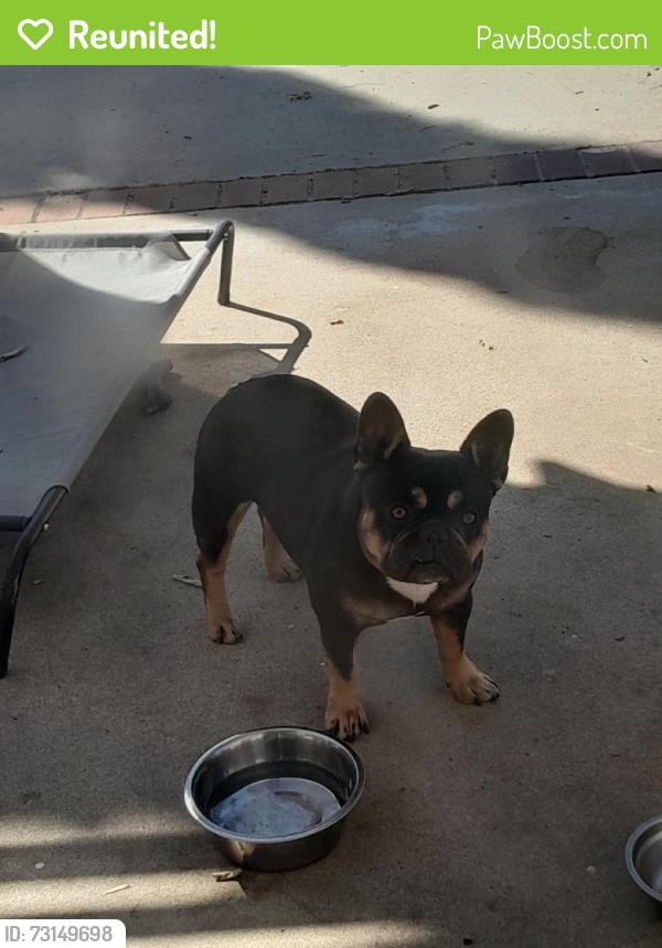 Reunited Female Dog last seen Fallow Field Dr, Diamond Bar, CA 91765, USA, Diamond Bar, CA 91765