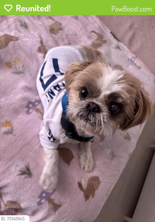 Reunited Male Dog last seen Indiansummer, valinda, La Puente, CA 91744
