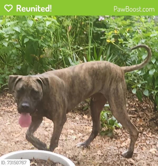 Reunited Unknown Dog last seen W College St, Sherman, TX, USA, Sherman, TX 75092