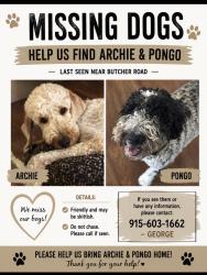 Reunited Male Dog last seen Kings court & Butcher Rd Waxahachie Tx, Waxahachie, TX 75165