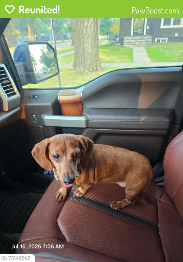 Reunited Female Dog last seen MSUM, Moorhead, MN 56560