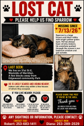 Reunited Male Cat last seen 31st ST E , Westside of Meridian. Two blocks away from edgewood community Park, Edgewood, WA 98371