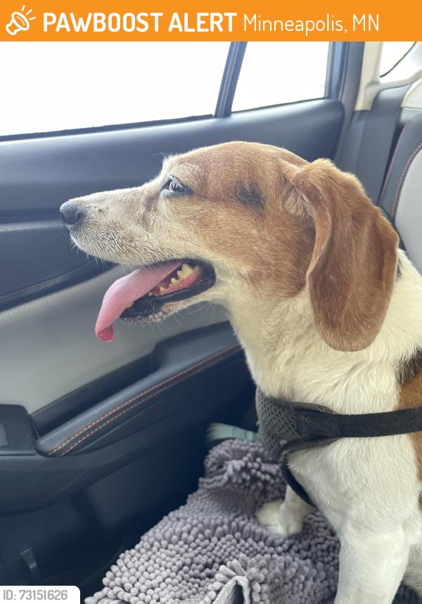 Found/Stray Male Dog last seen 53rd St and Morgan Ave, Minneapolis, MN 55419