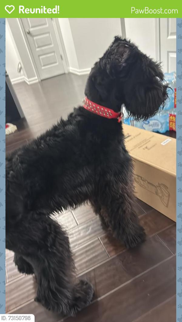 Reunited Male Dog last seen Grant rd near Village Park subdivision, Ellenwood, GA 30294