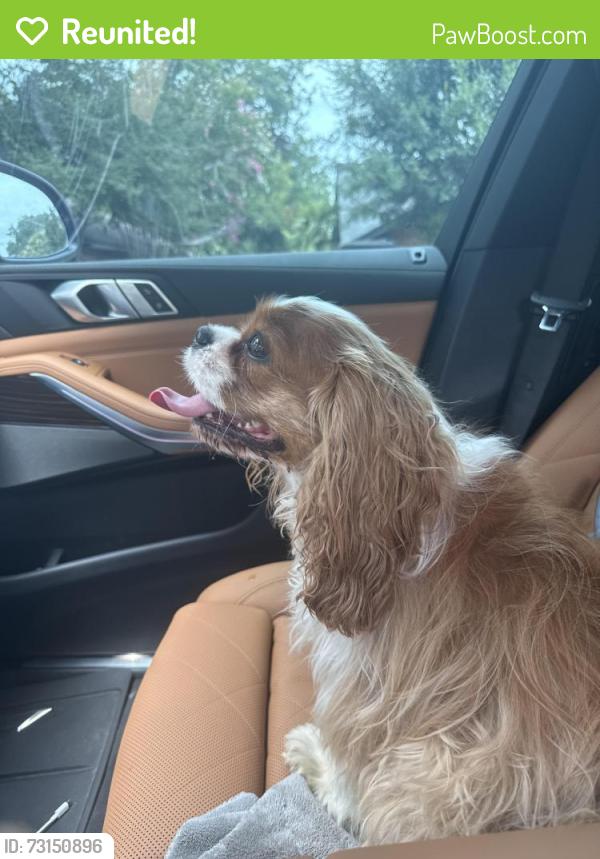 Reunited Unknown Dog last seen River Oaks and sunlight, Arlington, TX 76006