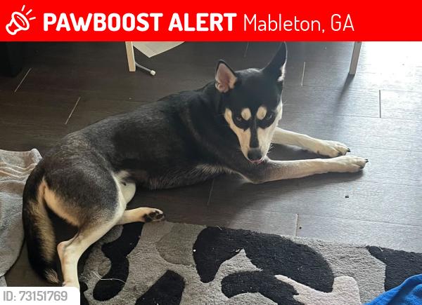 Lost Female Dog last seen Riverview Rd, Mableton, GA 30126