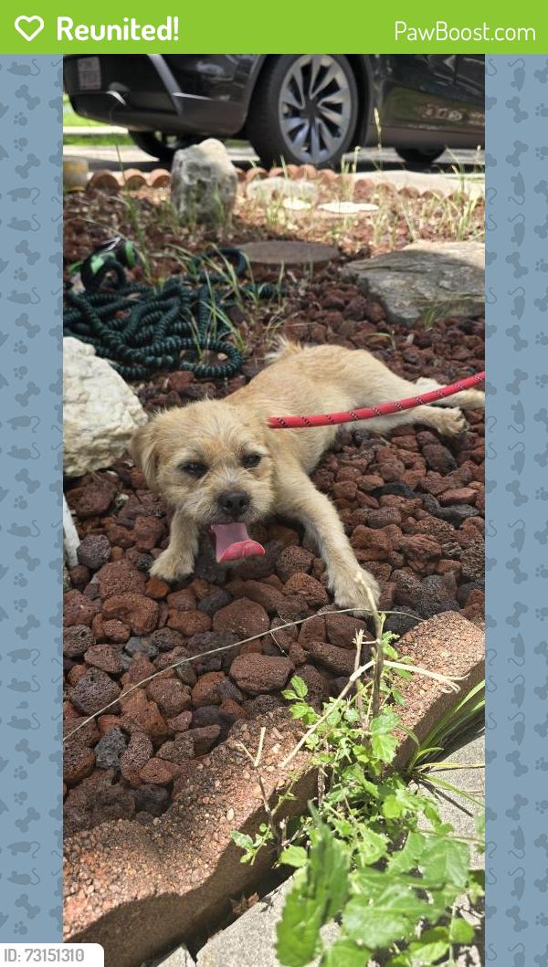 Reunited Male Dog last seen Near TX-1604 Loop, San Antonio, TX 78245, San Antonio, TX 78245