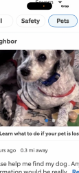 Lost Male Dog last seen Severn tree blvd, Severn, MD 21144