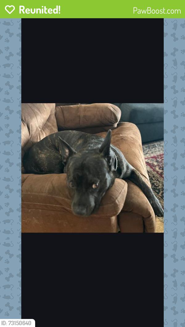 Reunited Male Dog last seen Granby Ave and Valley Rd, Cleveland, OH 44109