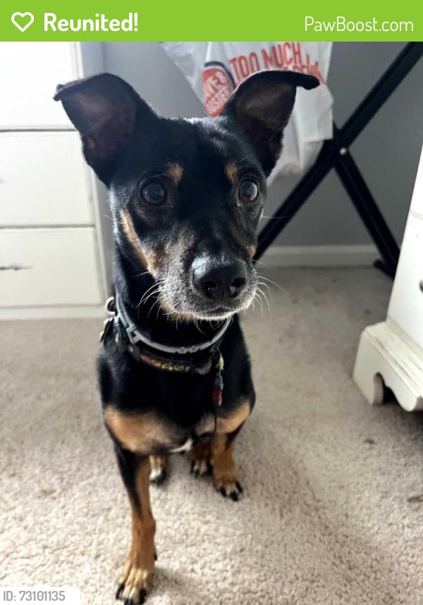 Reunited Male Dog last seen Last official sighting was a little past Fernhill on Maple Avenue in Bristol, Bristol, CT 06010