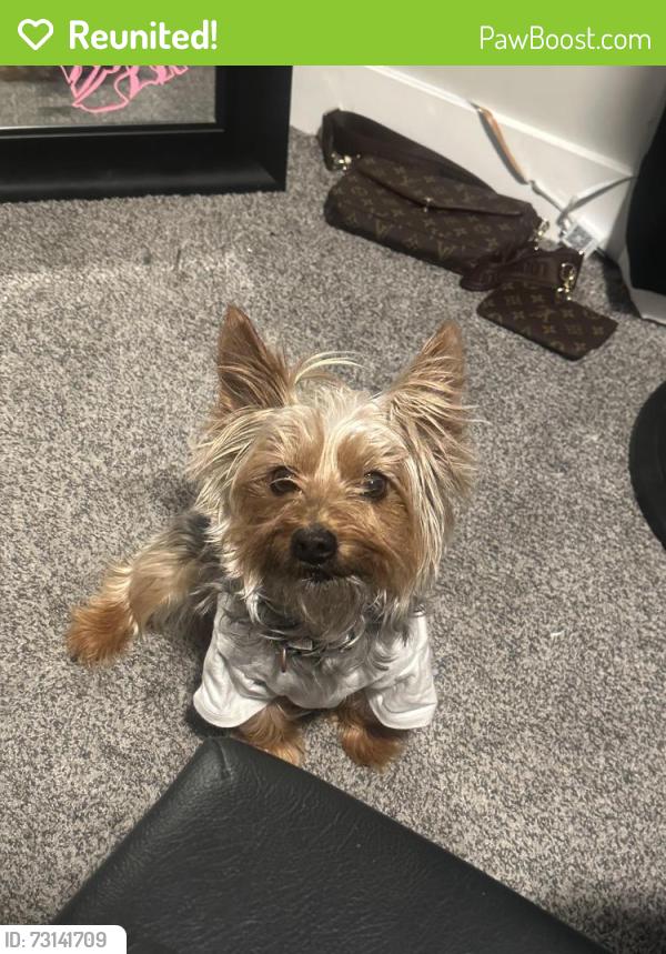 Reunited Male Dog last seen N 4500 W, West Point, UT 84015