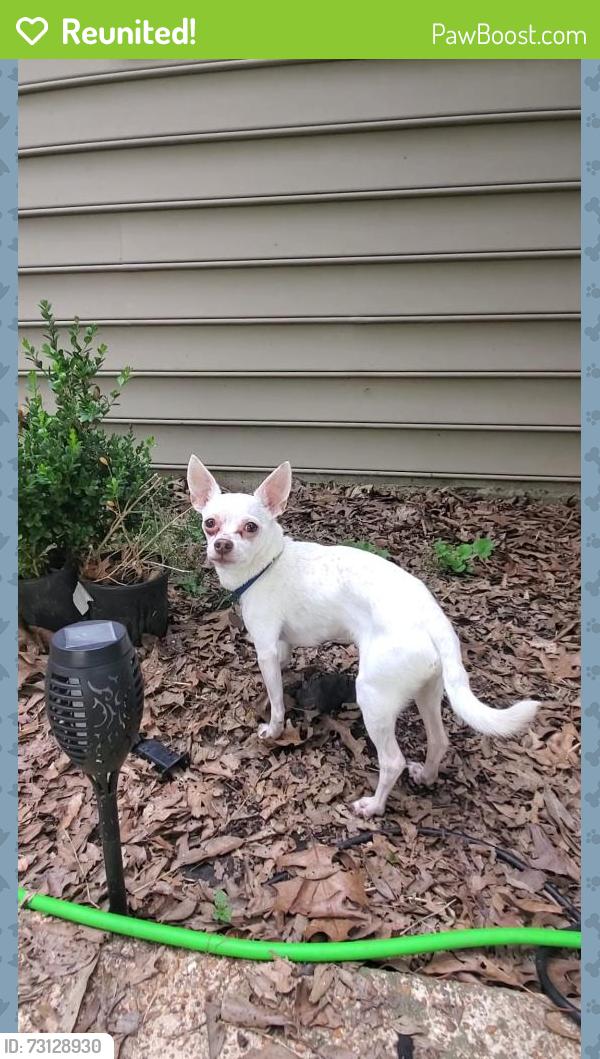 Reunited Male Dog last seen Jones Creek Rd, Big River Township, MO 63023