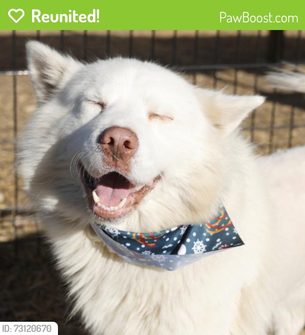 Reunited Male Dog last seen Shorthorn rd, Stockdale, TX 78160