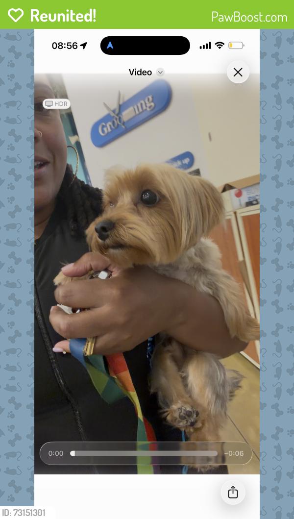 Reunited Male Dog last seen Near P St (P St & 23rd), Sacramento, CA 95816
