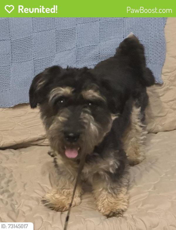 Reunited Male Dog last seen Shearers Road and Springtime Lane, Mooresville, NC 28115