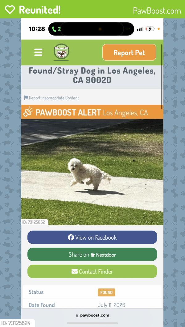 Reunited Male Dog last seen Lorraine, Los Angeles, CA 90020