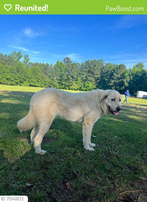 Reunited Female Dog last seen Moseley rd, Stockbridge, GA 30281