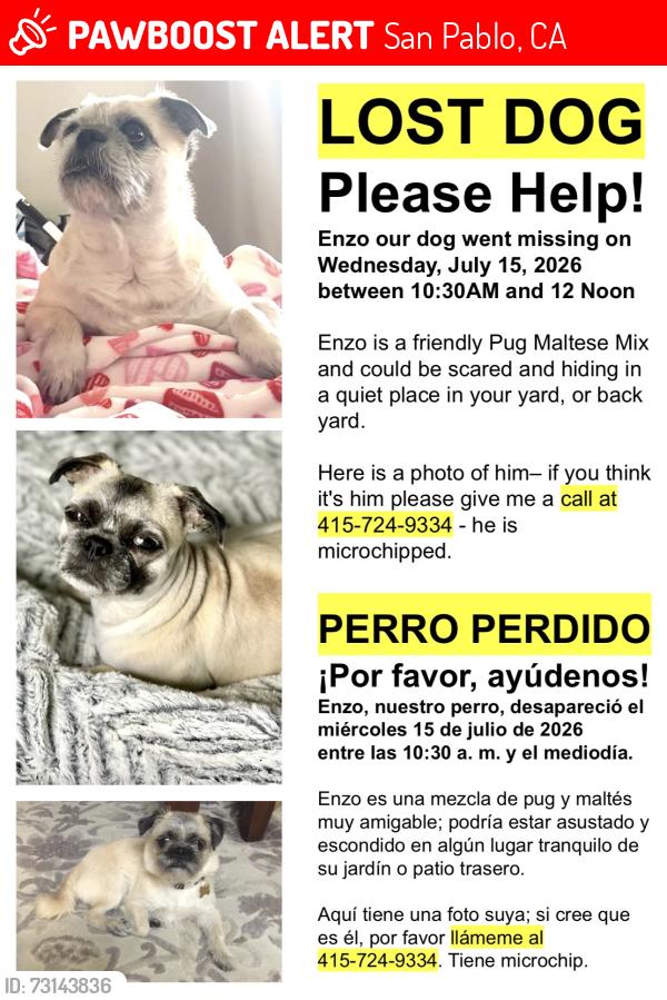 Lost Male Dog last seen Stone Street / Broadway / San Pablo Ave. / Rumrill, San Pablo, CA 94806