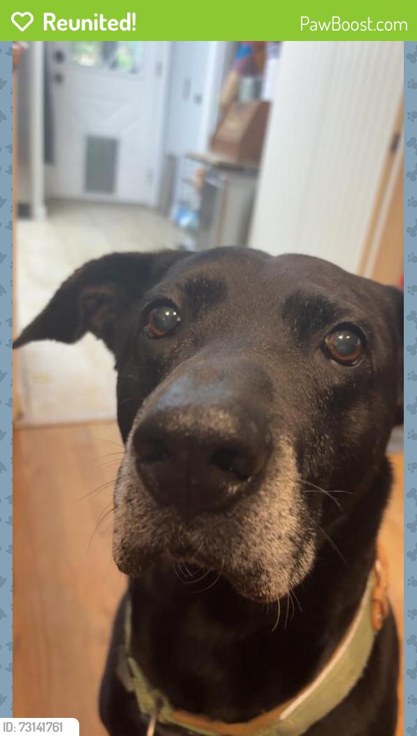 Reunited Male Dog last seen Between Georgetown and Everhart, Cleveland, TN 37311