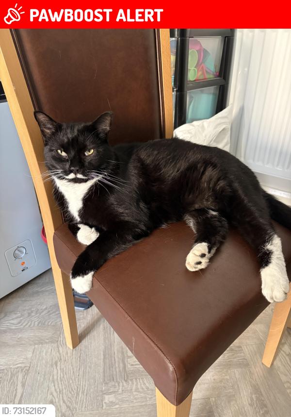 Lost Male Cat last seen Imperial retail park, Bristol City, England BS13 7DW
