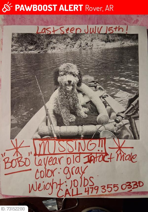 Lost Male Dog last seen River road. South highway 27, Rover, AR 72860