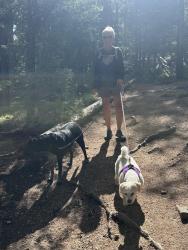 Lost Male Dog last seen Little Turtle and Cochise, Conifer, CO 80433