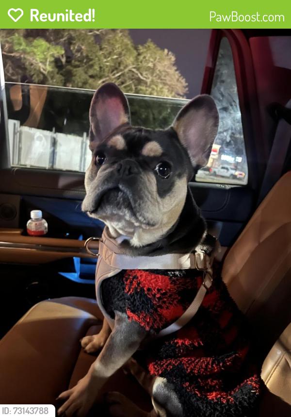 Reunited Male Dog last seen Taken by truck, Mobile, AL 36608