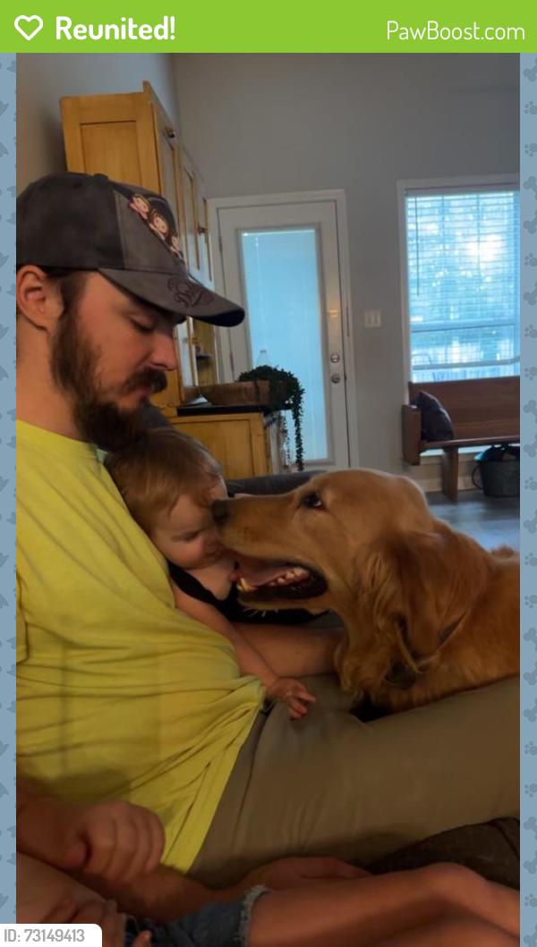 Reunited Female Dog last seen Lamb road, Arlington, TN 38002
