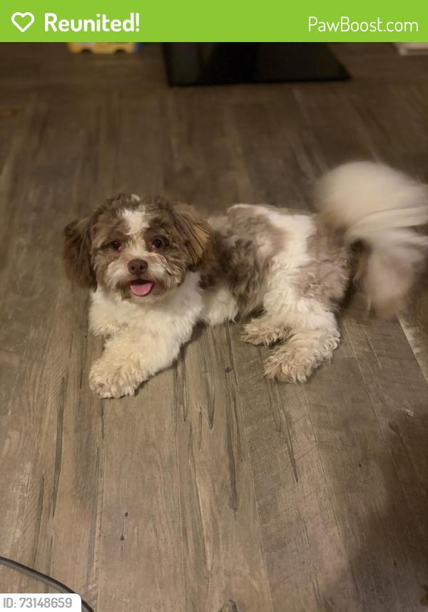 Reunited Male Dog last seen Horse creek Trl Middlesex, Johnston County, NC 27557