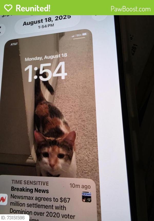 Reunited Female Cat last seen Hawthorne, York, PA 17404