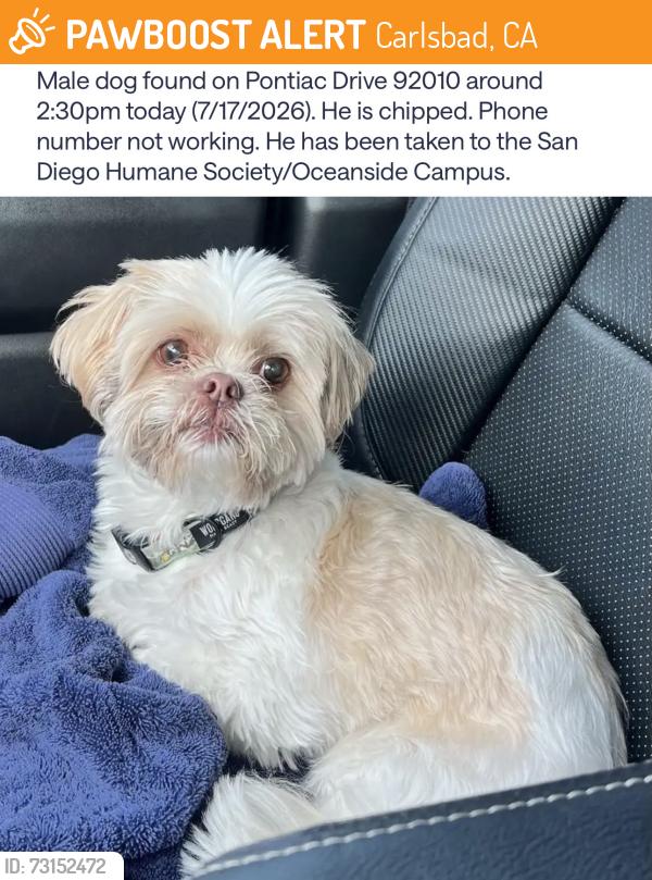 Found/Stray Male Dog last seen York Rd, Carlsbad, CA 92010