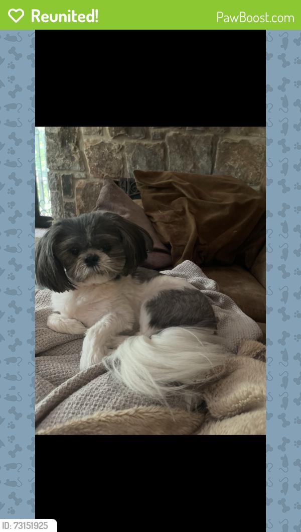 Reunited Female Dog last seen Windsor parkway, Sandy Springs, GA 30342