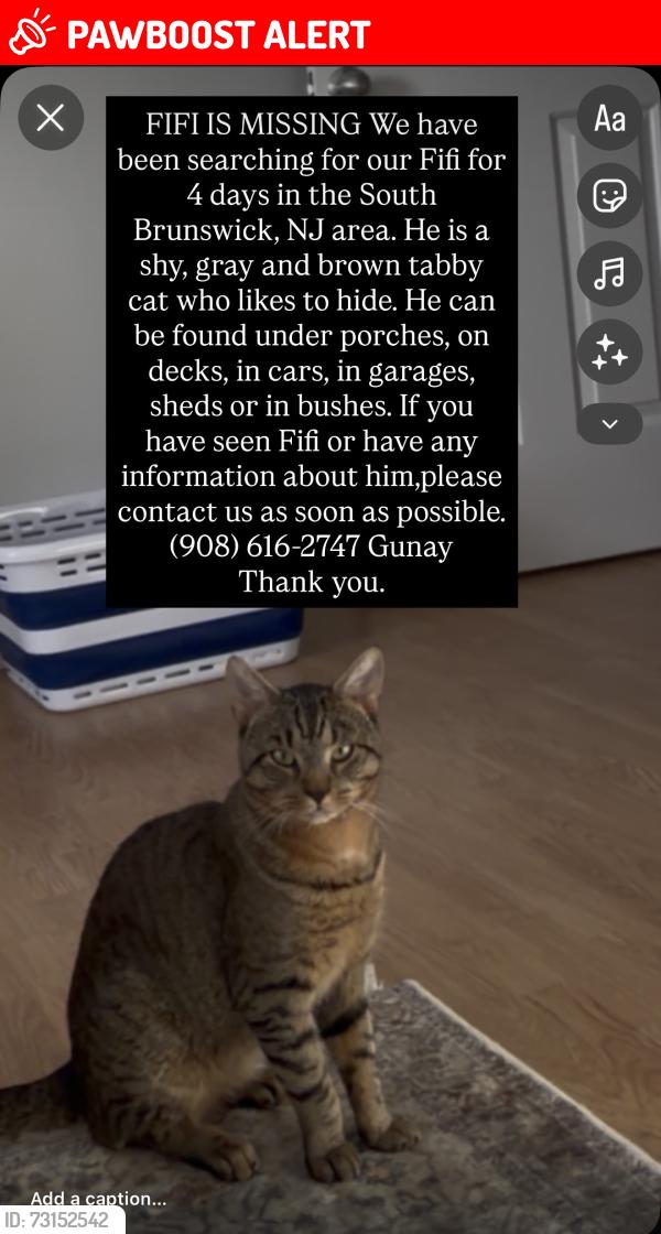 Lost Male Cat last seen Royal Oaks apmts, South Brunswick Township, NJ 08852