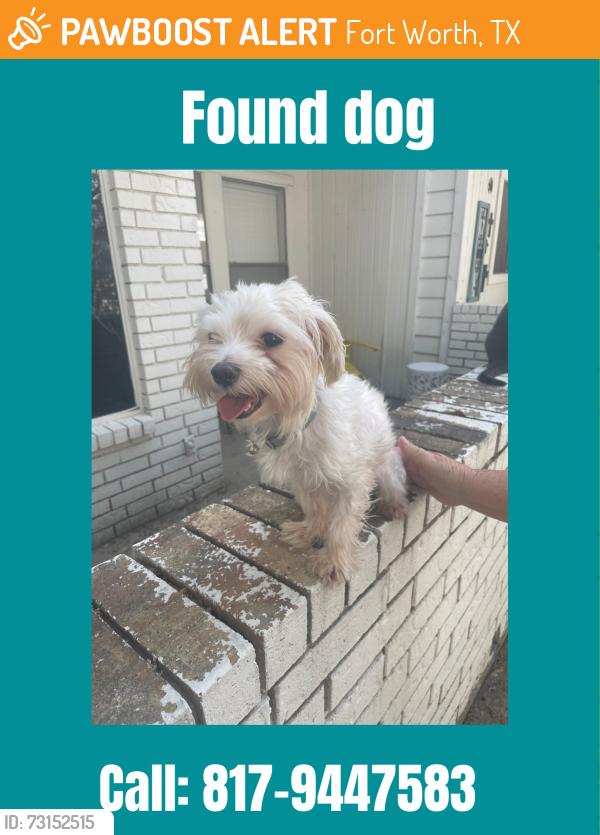 Found/Stray Male Dog last seen Overton ridge, Fort Worth, TX 76132