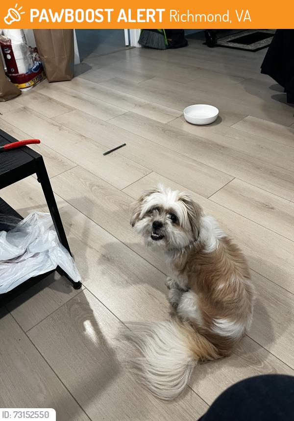 Found/Stray Unknown Dog last seen Hartman St by the church, Richmond, VA 23223