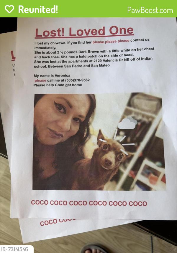 Reunited Female Dog last seen San Pedro and San Mateo, Albuquerque, NM 87110
