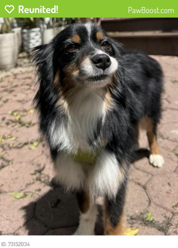 Reunited Male Dog last seen Bloomfield, NJ, Bloomfield, NJ 07003