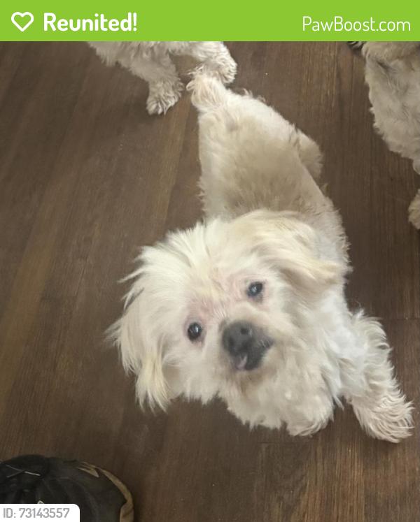 Reunited Male Dog last seen Court Q, Birmingham, AL 35208