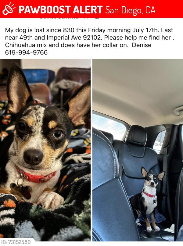 Lost Female Dog last seen Imperial and 49th, San Diego, CA 92113