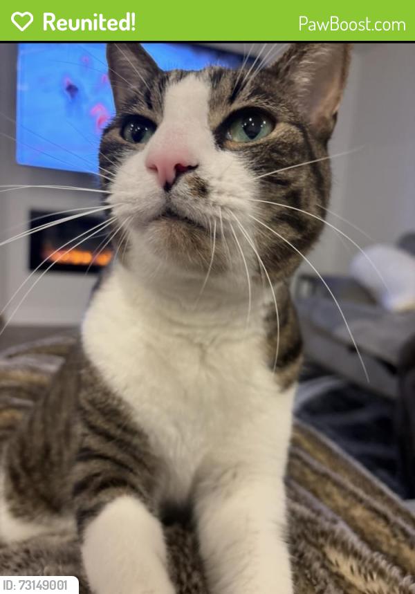 Reunited Male Cat last seen 183rd street and cedar, Lakeville, MN 55044