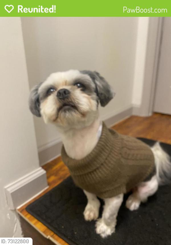 Reunited Male Dog last seen Near University Pkwy Macon, GA 31206, Macon, GA 31206