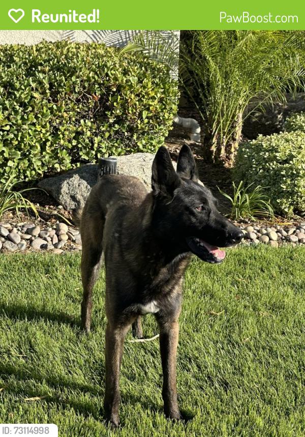 Reunited Male Dog last seen Four Seasons Hemet Lodge - Four Seasons Blvd, Hemet, CA 92545