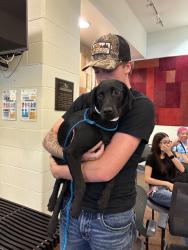 Lost Female Dog last seen explorer drive, Palm Desert, CA 92211