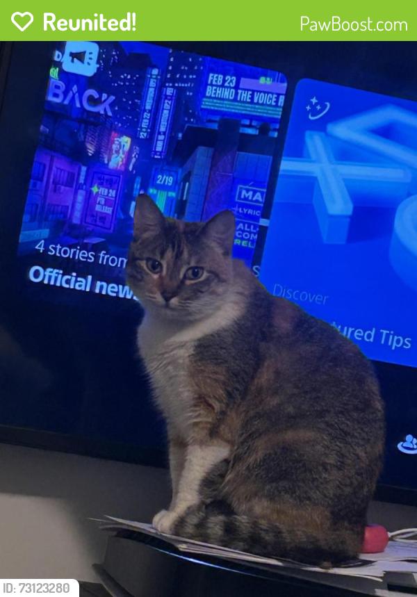 Reunited Female Cat last seen DB TODD JR BLVD/ FAMOSA, Nashville, TN 37208